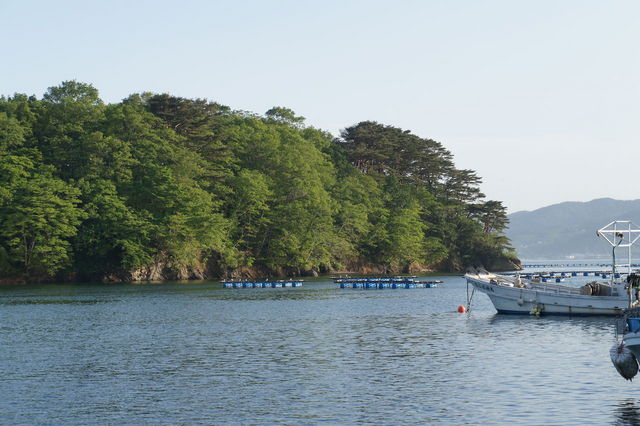 かき小屋 飛梅 仙台駅前店 - あおば通（かき）の写真