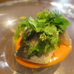 ル スプートニク - 鰯とトマト