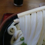 まいどまいど - うどん　持ち上げ～♪