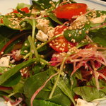 イベリコ豚の生ハムサラダ