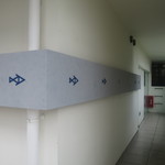 アビス - 魚のロゴがまるで矢印になっているよう＾＾