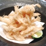 wasabi - 白海老のてんぷら