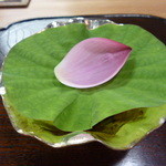 なる屋 - 蓮の葉と花びらの下に