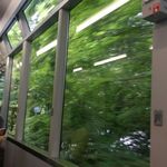 出町ふたば - 2015-6　比叡山電鉄に乗って買いにいきました！