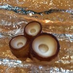 海力 - 蛸の吸盤醤油焼き