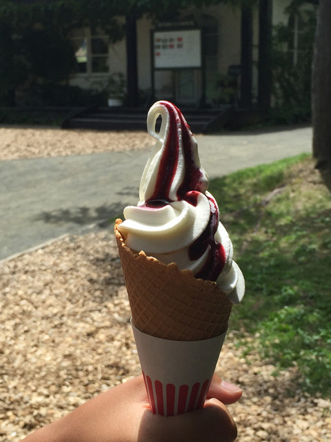 螢のそふとくりん - 富良野（ジェラート・アイスクリーム）の写真