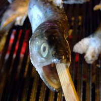 黒茶屋 - 桔梗：川魚の炭火焼