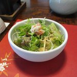 農家レストランZIRYO - サラダ