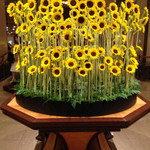 レ セゾン - ロビー Aug/2015