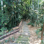 オーブン・ミトン カフェ - 竹林の中を下っていくと…