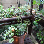 オーブン・ミトン カフェ - 窓辺から見える風景。奥に見える建物が美術館。