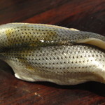 千成寿司 - 小肌