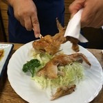 鳥房 - 見惚れるぐらいのちょっとしたショーです。