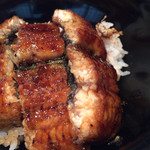 柳家 - 長良川天然鰻丼