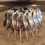 柳家 - 馬瀬川天然雨子塩焼き