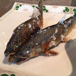 和良川天然鮎塩焼き二本