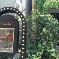 マディソン ニューヨーク キッチン - 