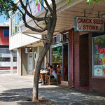 Sprout Sandwich Shop  - 