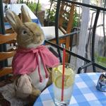 ピーターラビット ガーデンカフェ  - 