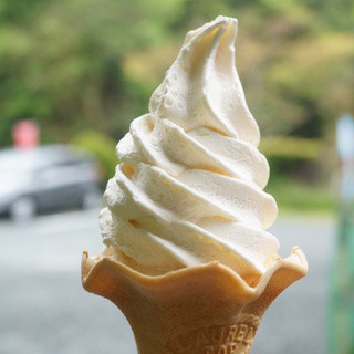 にぎやかな春_0