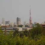 セバスチャン - 2015/8/4 かき氷を食べて東京タワーで一休み♪