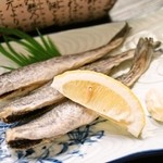 Shubou Matsuri - 飛騨コンロ　　氷下魚