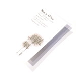 ビストロ オリーブ - ショップカード '15 7月中旬