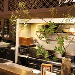 かわ村 - 2015.08再訪：オープンキッチン☆