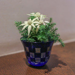 かわ村 - 2015.08再訪：御馳走様でした☆