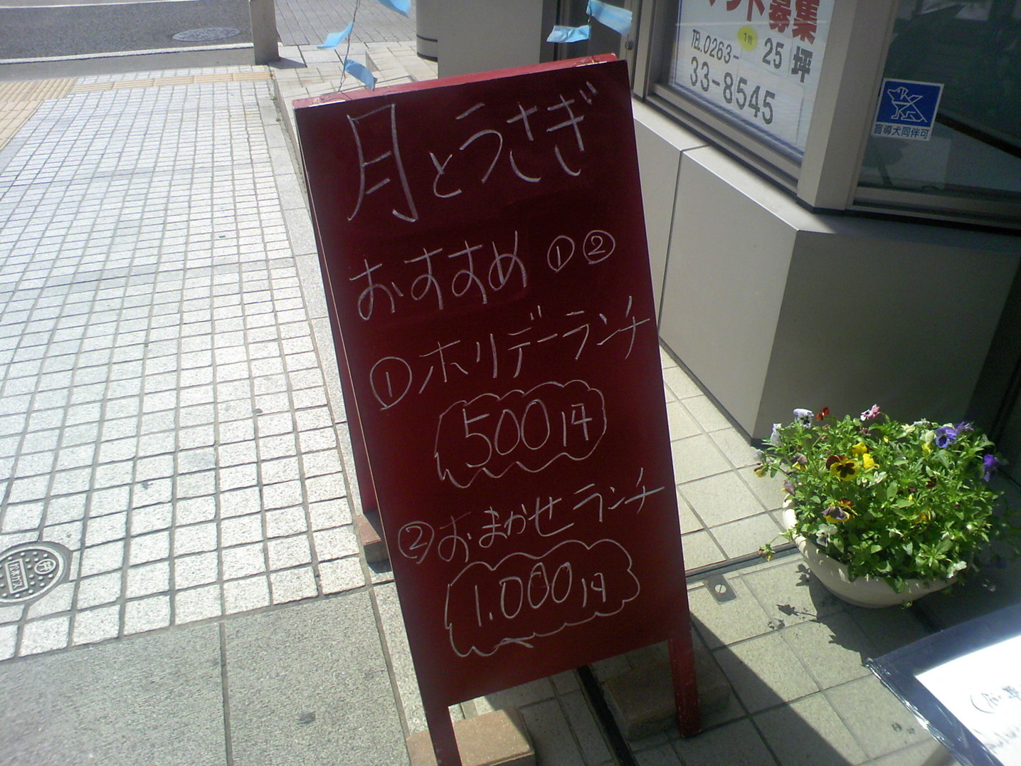 菜食家 月とうさぎ name=
