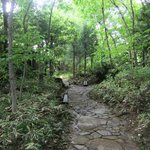 燈々庵 - 門を入ってからの道