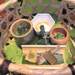 燈々庵 - 前菜７種盛り