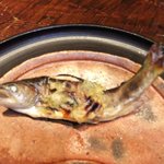 燈々庵 - 岩魚の田楽木の芽つけ