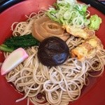 江戸そば　わたなべ - 冷ししっぽく蕎麦（大） 490円＋100円   葱と山葵は受取口でセルフ投入