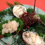 民宿旅館 山川 - 伊勢海老、鮑の造り