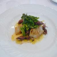 リストランテ ベリーニ - お魚料理　タラとホタルイカ
