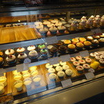 40602236 - 2015.7こんなに種類があるんだょ～♬