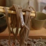 板蕎麦 香り家 - 太い蕎麦切り