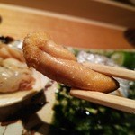 鮨 相澤 - 太刀魚の卵