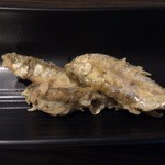 試 - あゆ南蛮です