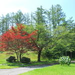 ホテル角神 - 中庭