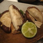 えどぼり 和じ庵 - 201005訪問　椎茸の炭火焼