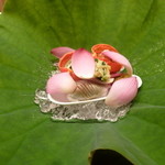 天神橋 青木 - 八寸