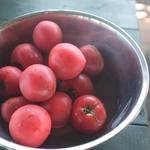 リン カフェ - サービスのトマト