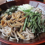 煮込みうどん かに屋 - 太めの田舎蕎麦の上には、たっぷりの山菜・茸がトッピング