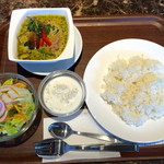 タイレストラン タニサラ - グリーンカレー税込880円＋Aセット税込100円