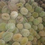 Ucok Durian - 店内に山積みされたドリアン…。