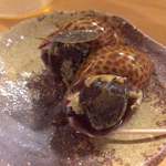 煙人 - お通しのバイ貝