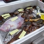 魚魚魚 - 能登直送の魚介類