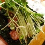 かわしま寿司 - カマトロに貝割れ大根と山葵を海苔で巻いて
